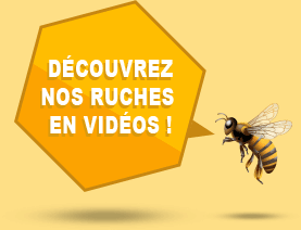 vidéos de nos ruches